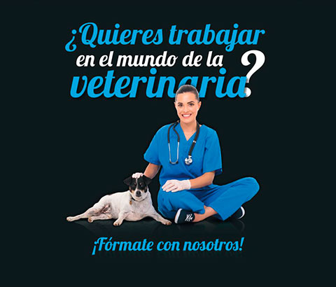Clínica Veterinaria Alcazaba