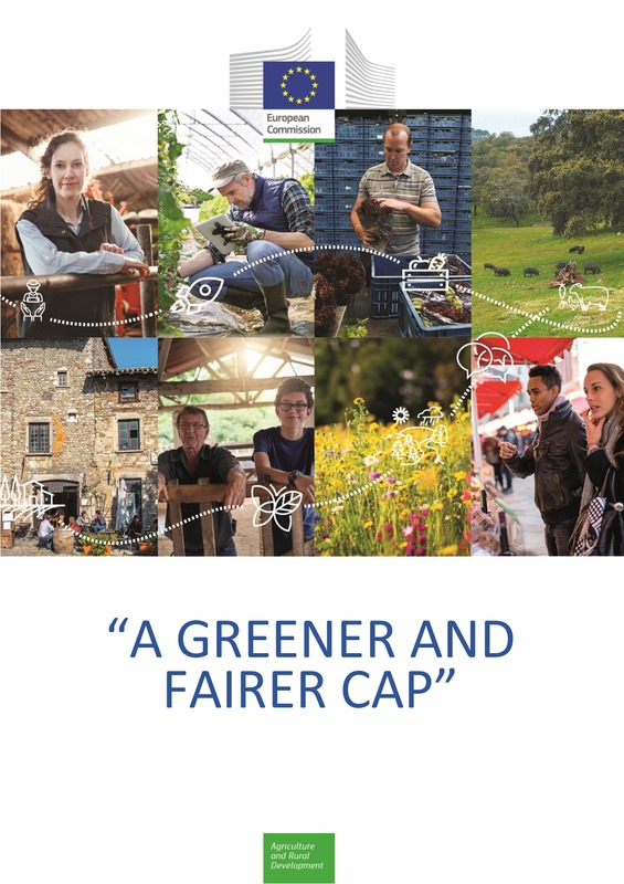 Factsheet new CAP environment fairness
