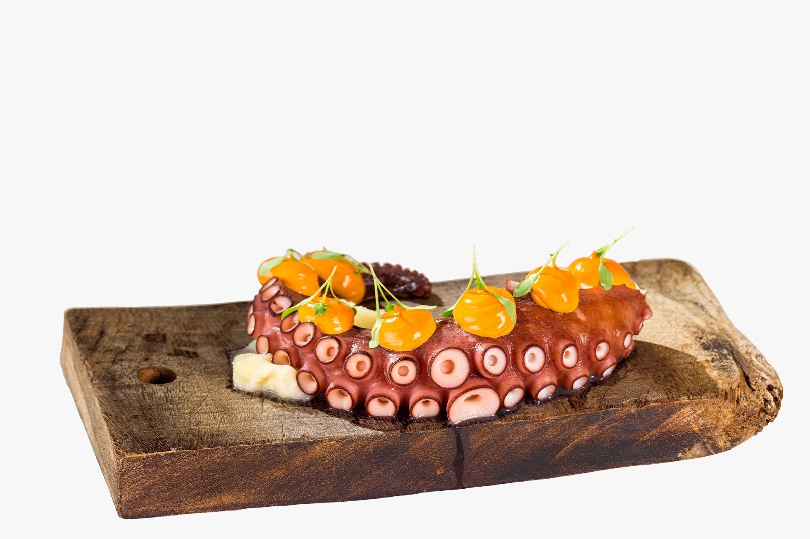 PRODUCTOS DEL MAR ANCAVICO SL