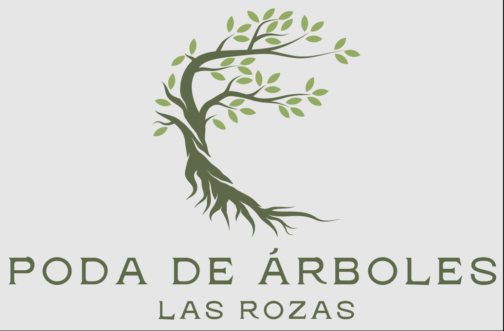 Poda de �rboles Las Rozas