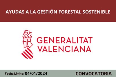 Ayudas a la gesti�n forestal sostenible CV