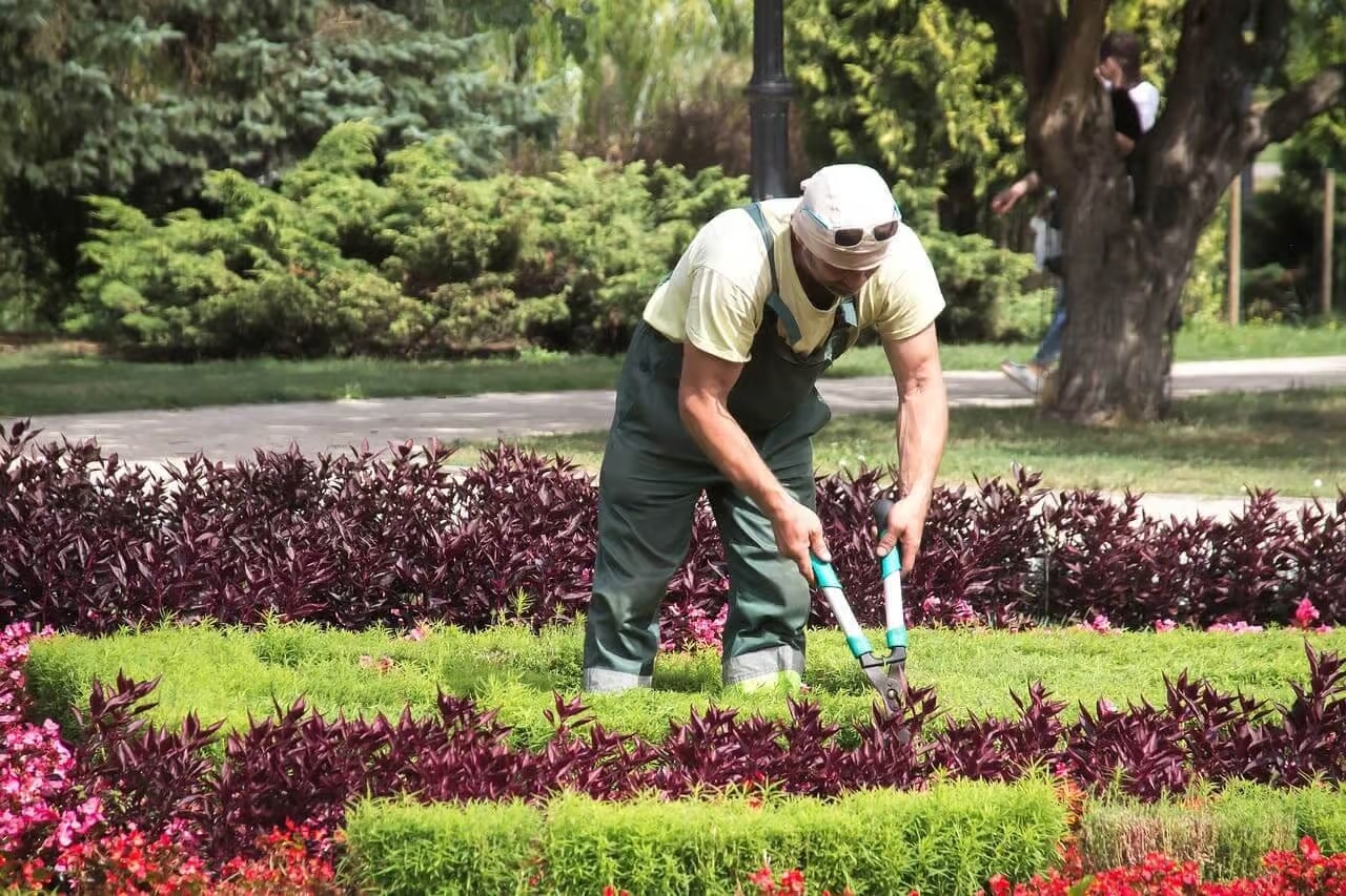 Jardineros Alicante