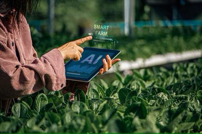 CURSO TELEPRESENCIAL DE GESTI�N COMERCIAL Y MARKETING PARA EMPRESAS AGROALIMENTARIAS DE CALIDAD DIFERENCIADA