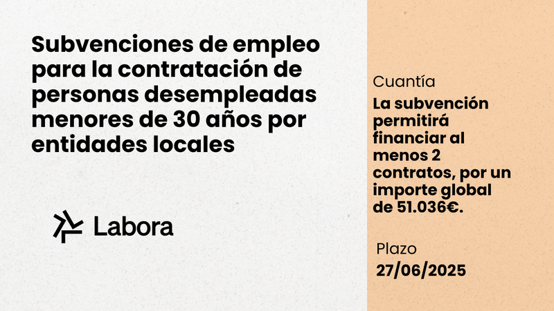 subvenciones de empleo para la contratación de personas desempleadas menores de 30 años por entidades locales de la Comunitat Valenciana