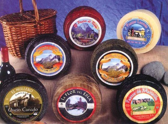 Sociedad Cooperativa Cea-Esla