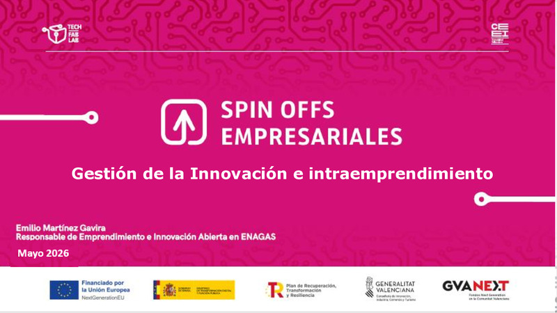 Ponencia Emilio Gesti�n de la Innovaci�n e intraemprendimiento