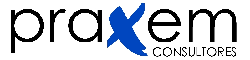 PRAXEM CONSULTORES