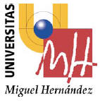 Universidad Miguel Hernandez