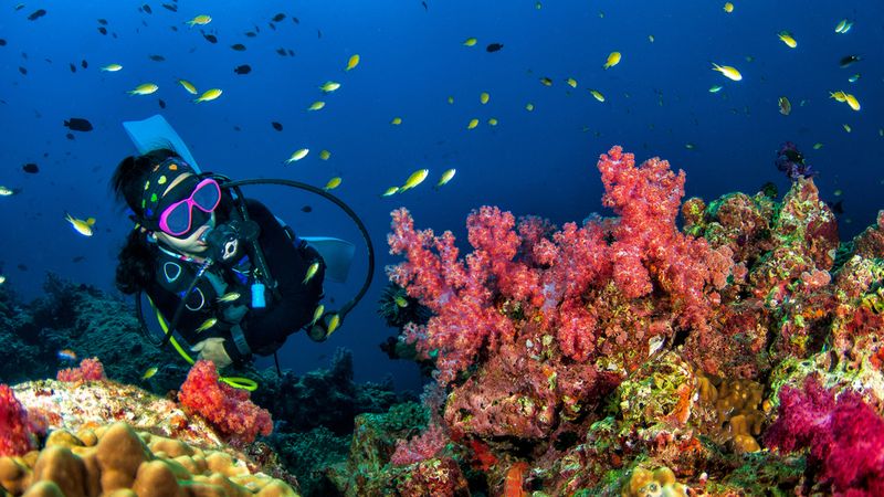 Certificaciones para bucear este verano en Espa�a
