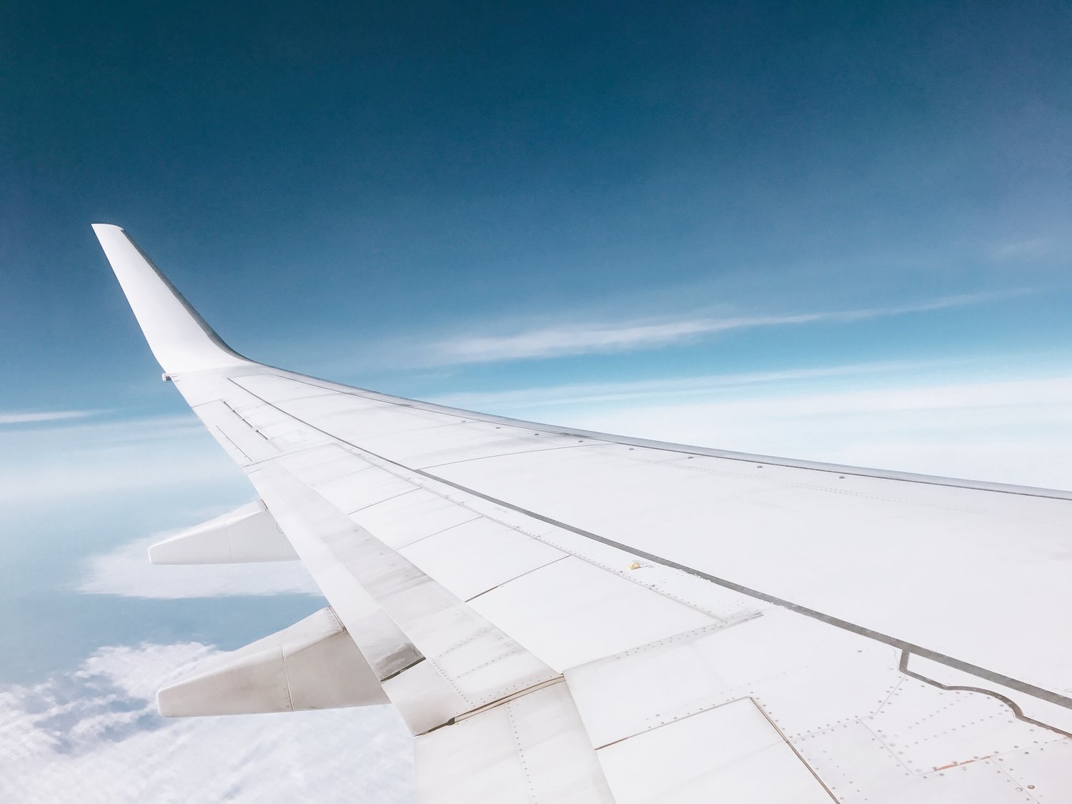 �Cu�les son los requisitos para viajar con mascotas seg�n la aerol�nea?