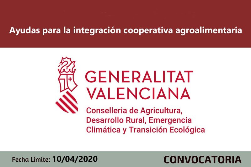 Ampliar imagen