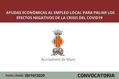 Ayudas al empleo para paliar los efectos de la Covid19