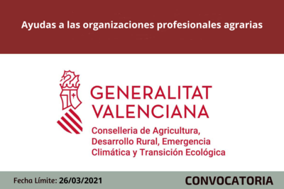 Ayudas a las organizaciones profesionales agrarias (OPA)