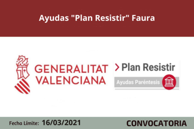 Bases de la Convocatoria