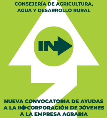 Bases de la convocatoria