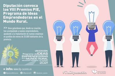 Bases de la convocatoria