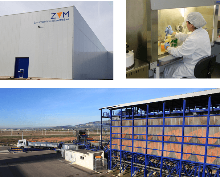 Zumos Valencianos del Mediterr�neo S.A.