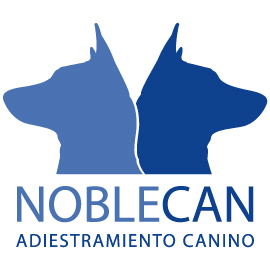 Blog con artículos sobre adiestramiento y educación canina